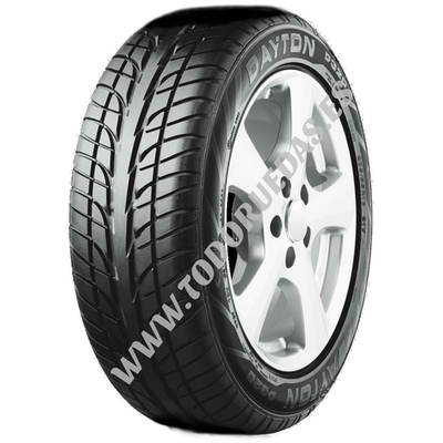 205-55-16-91W DAYTON D320 EVO
